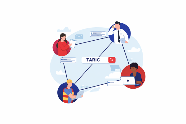 hs code TARIC System