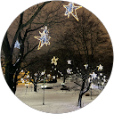 cansu gurler profile picture