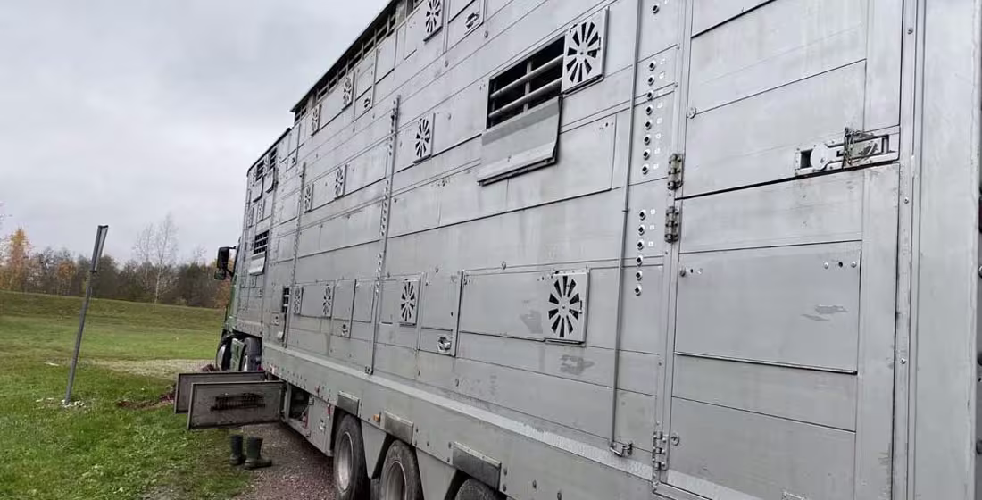 Dzīvnieku pārvadājumi