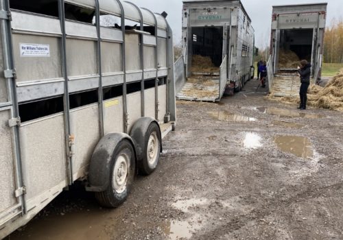 2 Dzīvnieku pārvadājumi pa visu pasauli